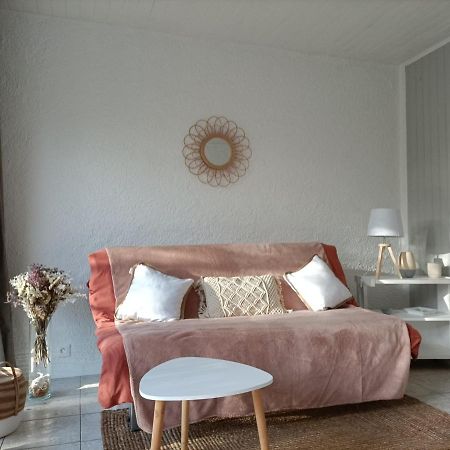 Charmant Appartement Bord De Mer อาร์เจเลส-ซัวร์-แมร์ ภายนอก รูปภาพ