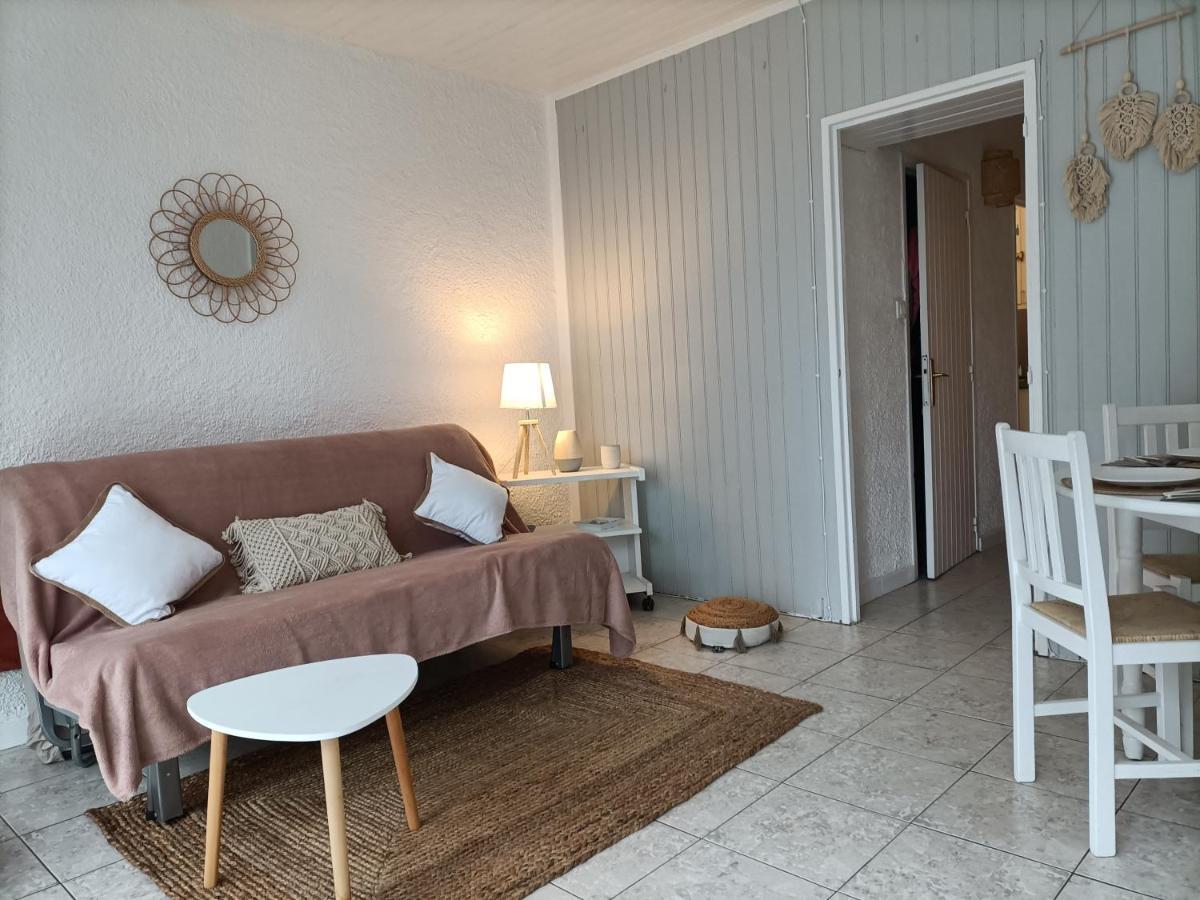 Charmant Appartement Bord De Mer อาร์เจเลส-ซัวร์-แมร์ ภายนอก รูปภาพ